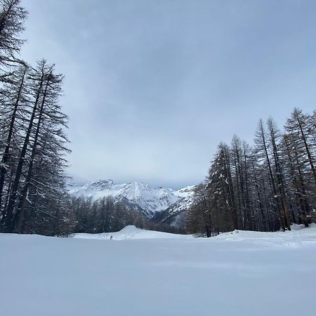 Les Granges D'Arvieux - Queyras - Appart 3Ch./6P. Exterior photo